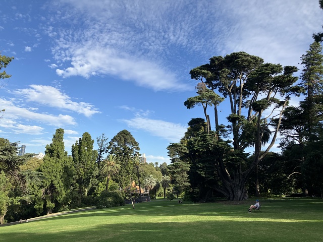 Royal Botanic Gardens 2